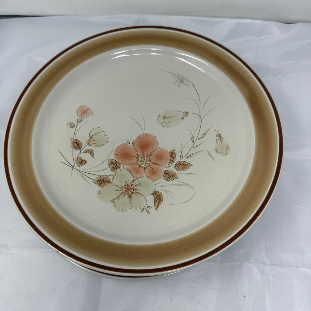 7 Heartside Water Colors Blush Floral Stoneware Dinner Plates Japan. Lovely
